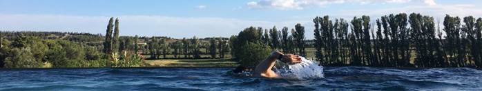 A swimmer doing front crawl in an infinity pool, with poplars and open countryside beyond.